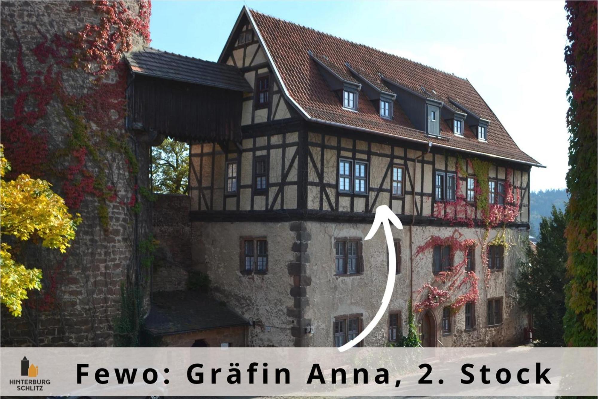 Graefin Anna - Design-Apartment In Der Historischen Hinterburg Schlitz - Nahe Fulda Und Bad Hersfeld Zewnętrze zdjęcie